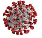 COVID-19 Coronavirus UV Germicidal Disinfection
