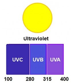 UV Tower Sterilizer Overview – Autocoat Engineering
